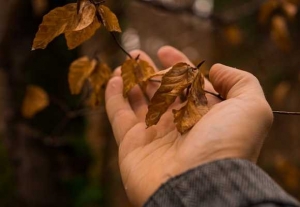 gallery/forest school hand